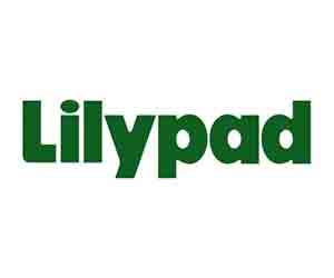 Lilypad Paint